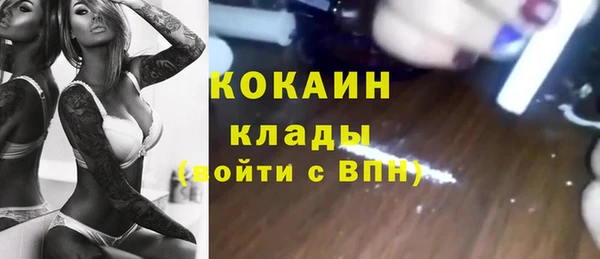 гидра Лихославль