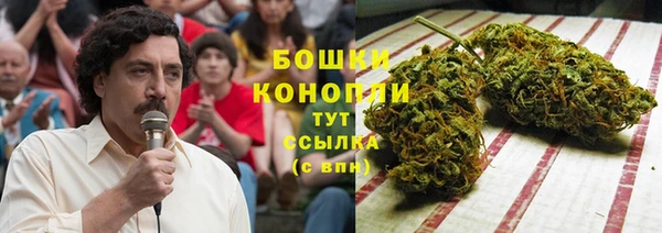 прущие крисы Арсеньев