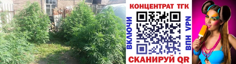 blacksprut рабочий сайт  Троицк  Дистиллят ТГК жижа 