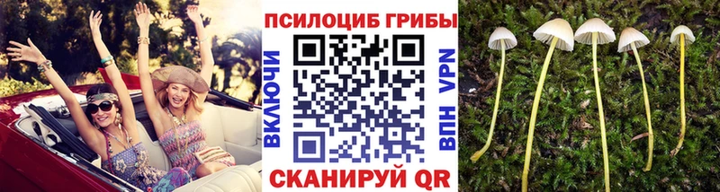 Галлюциногенные грибы мухоморы  кракен рабочий сайт  Троицк 